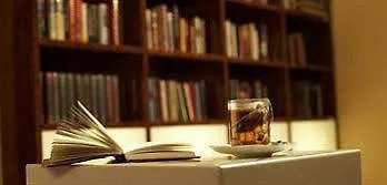 Waldeck Kur- & Wellness Hotel 4*